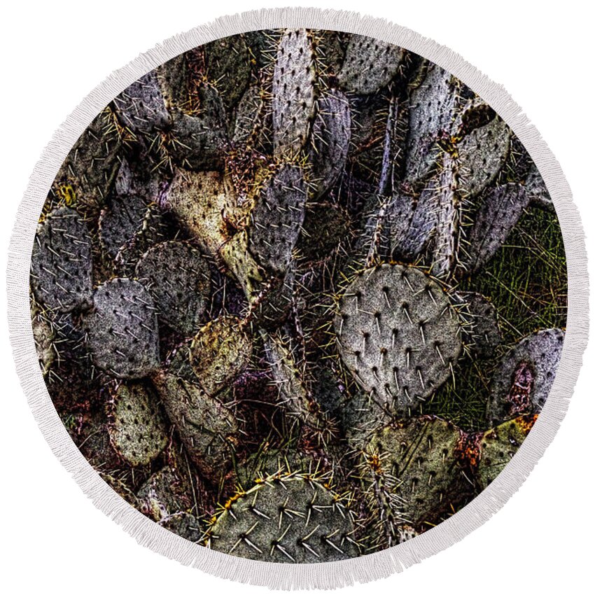 Arizona Round Beach Towel featuring the photograph Prickly Pear Cactus at Tonto National Monument by Roger Passman