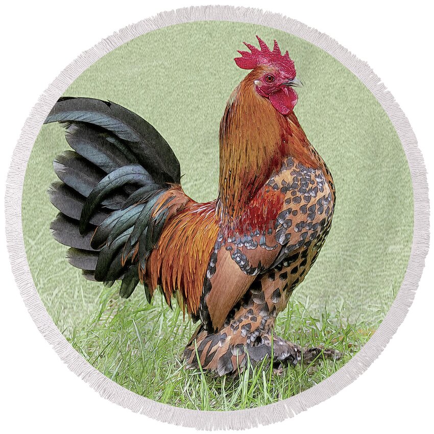 Rooster Round Beach Towel featuring the photograph Proud Rooster by Heiko Koehrer-Wagner