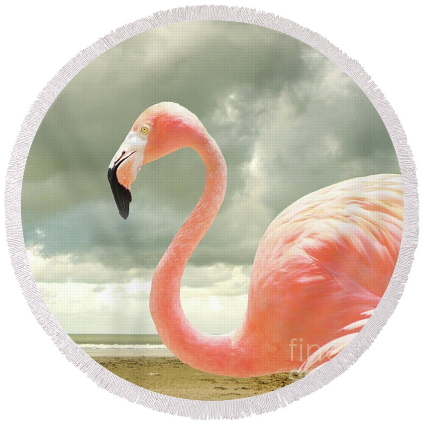 Flamingo Round Beach Towel featuring the photograph Proud to be pink by Adriana Zoon