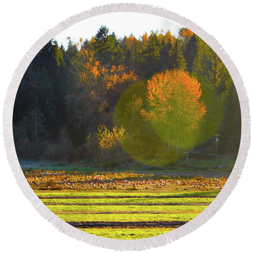 Landscape Round Beach Towel featuring the photograph Pumpkin Sunset by Brian O'Kelly