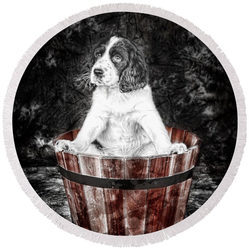 Puppy Round Beach Towel featuring the photograph Puppy by Alana Ranney
