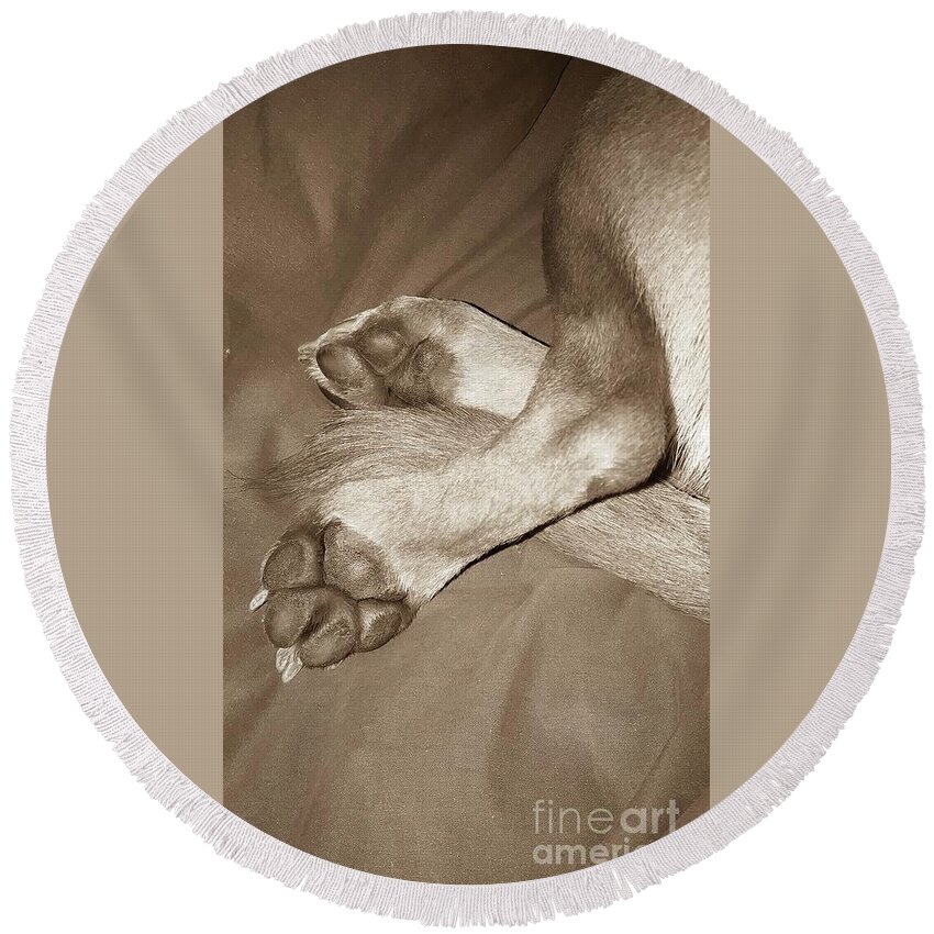 Puppy Round Beach Towel featuring the photograph Puppy Love by Tiziana Maniezzo