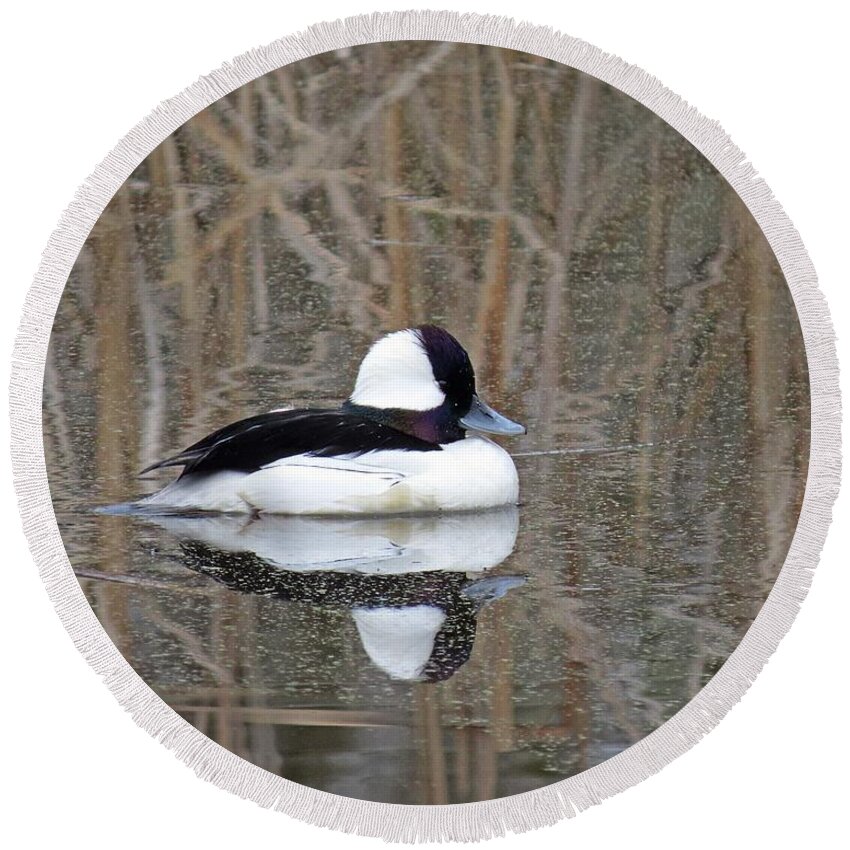 Bufflehead Round Beach Towel featuring the photograph Pure Nature by I'ina Van Lawick