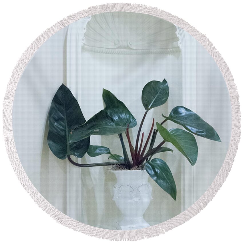 Plants Round Beach Towel featuring the photograph Pure Perfection by Marilyn Cornwell