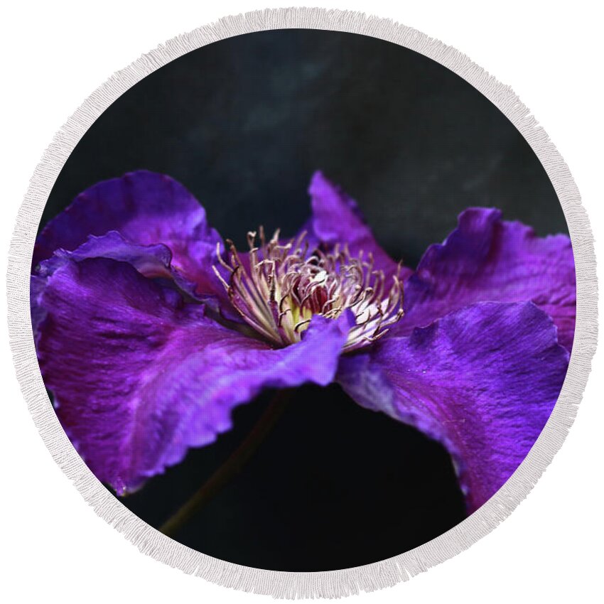 Flower Round Beach Towel featuring the photograph Purple and Blue Clematis by Jeff Townsend