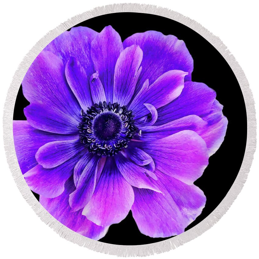Purple Flower Round Beach Towel featuring the photograph Purple Anemone Flower by Mariola Bitner