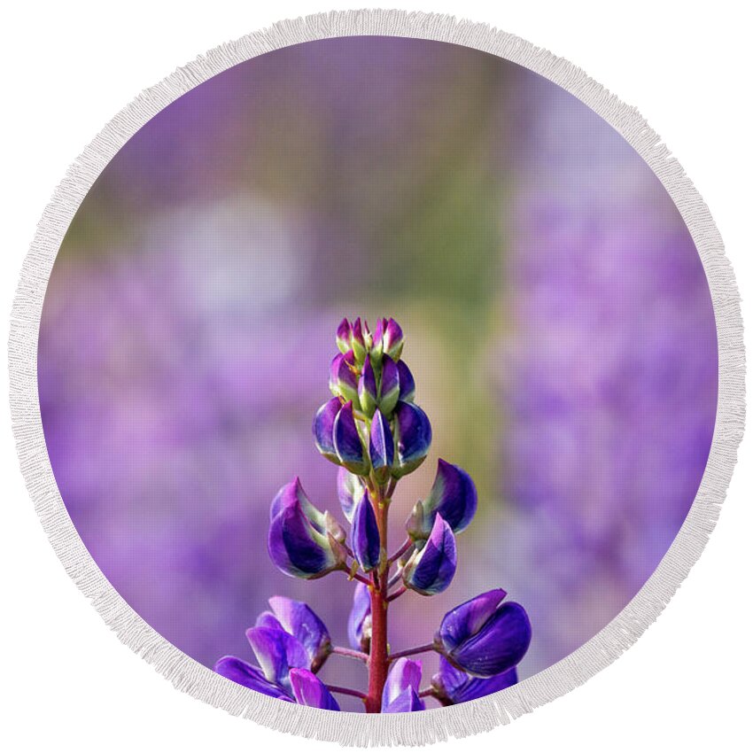 Flowers Round Beach Towel featuring the photograph Purple by Scene by Dewey