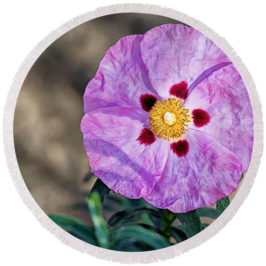 Purple Round Beach Towel featuring the photograph Purple Rockrose by Alison Frank