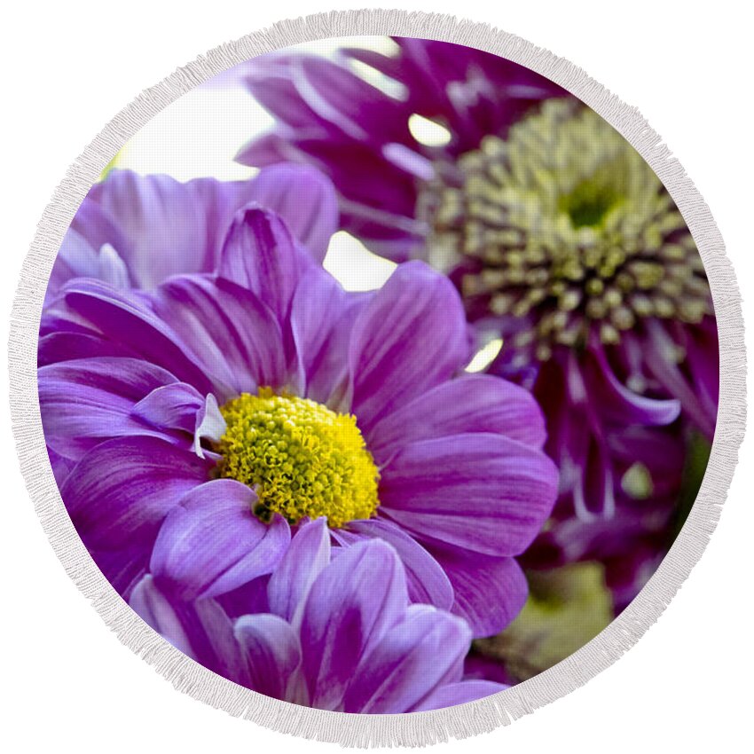 Gerbera Round Beach Towel featuring the photograph Purple Flower in Cold Light. by Elena Perelman