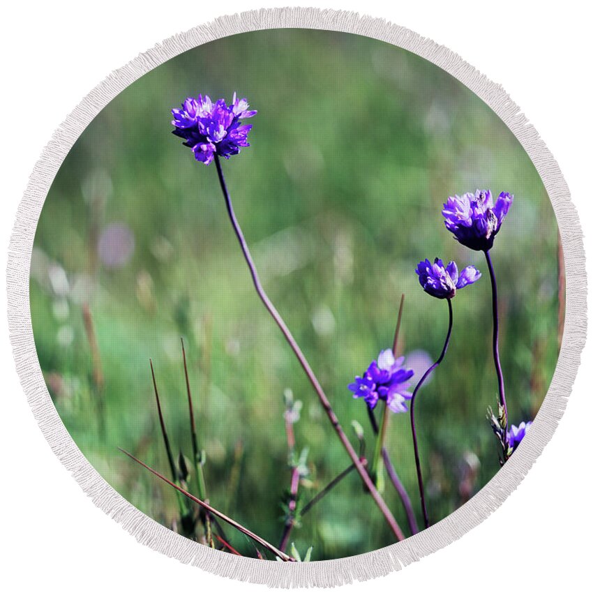 Purple Round Beach Towel featuring the photograph Purple flowers by Jim And Emily Bush