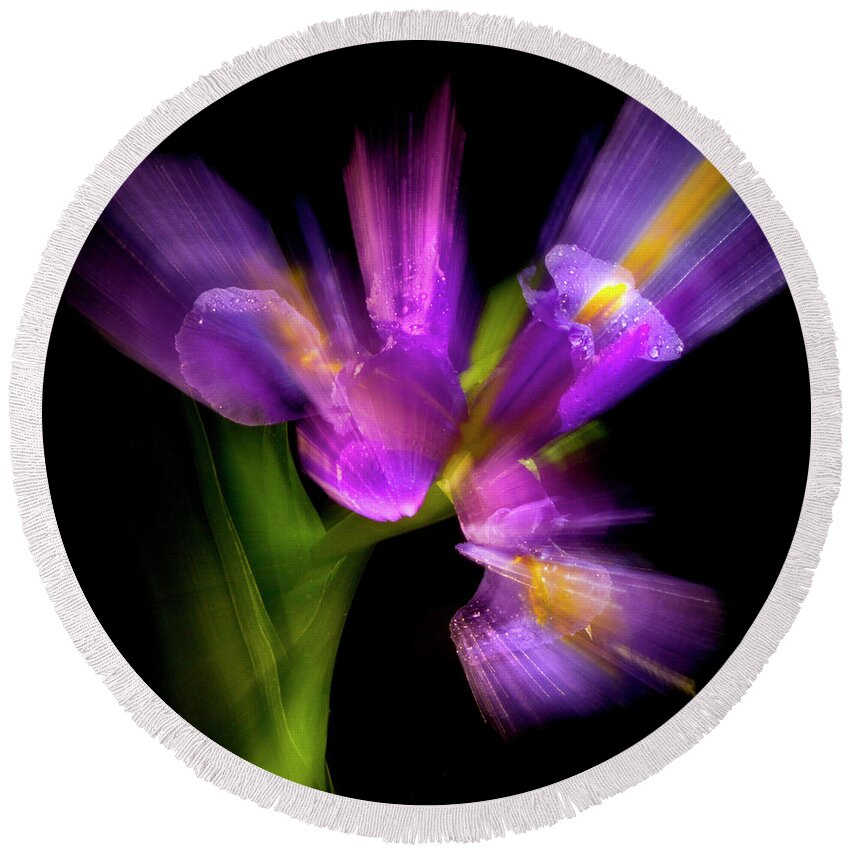 Iris Round Beach Towel featuring the photograph Purple Iris by Frederic A Reinecke