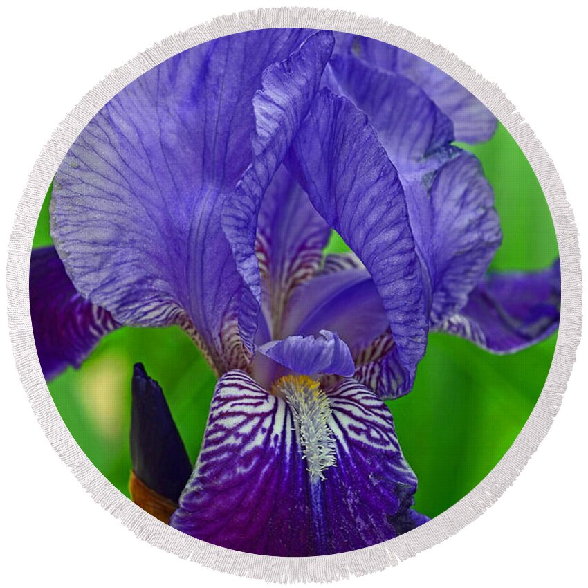 Purple Iris Round Beach Towel featuring the photograph Purple Iris by Lisa Phillips