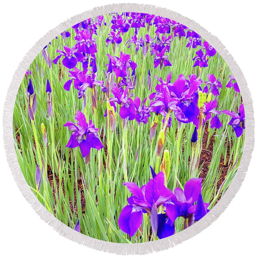 Purple Iris Print Round Beach Towel featuring the photograph Purple Iris by Roberta Byram