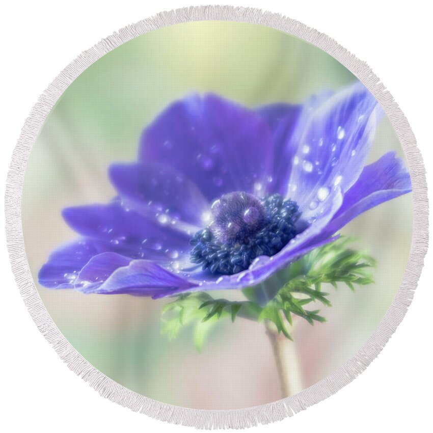 Anemone Round Beach Towel featuring the photograph Purple is the pantone color for 2018. by Usha Peddamatham