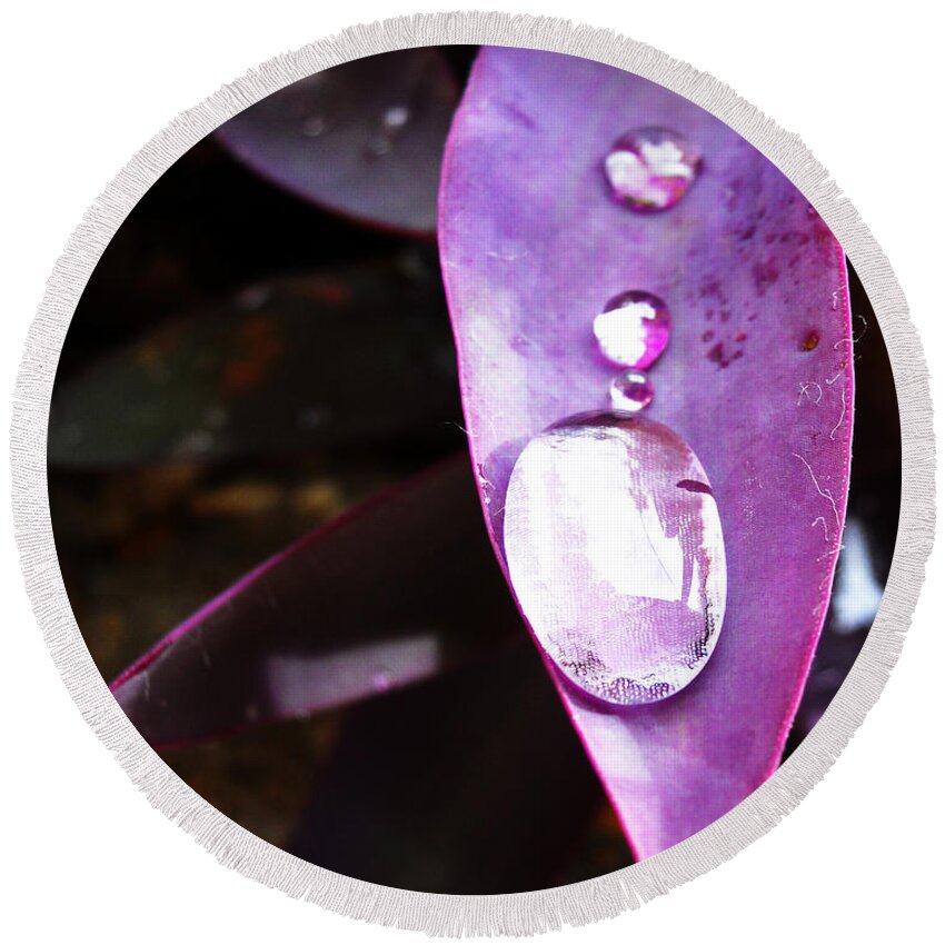 Purple Round Beach Towel featuring the photograph Purple Leaf by Maggy Marsh