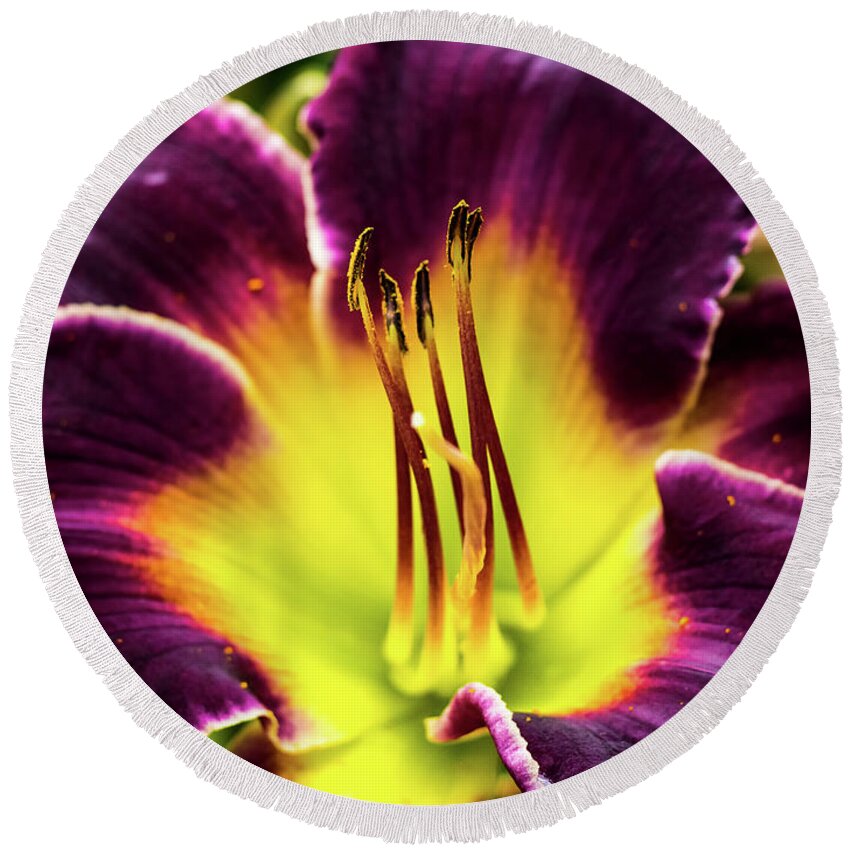 Beautiful Round Beach Towel featuring the photograph Purple Lily - Close Up by Penny Lisowski