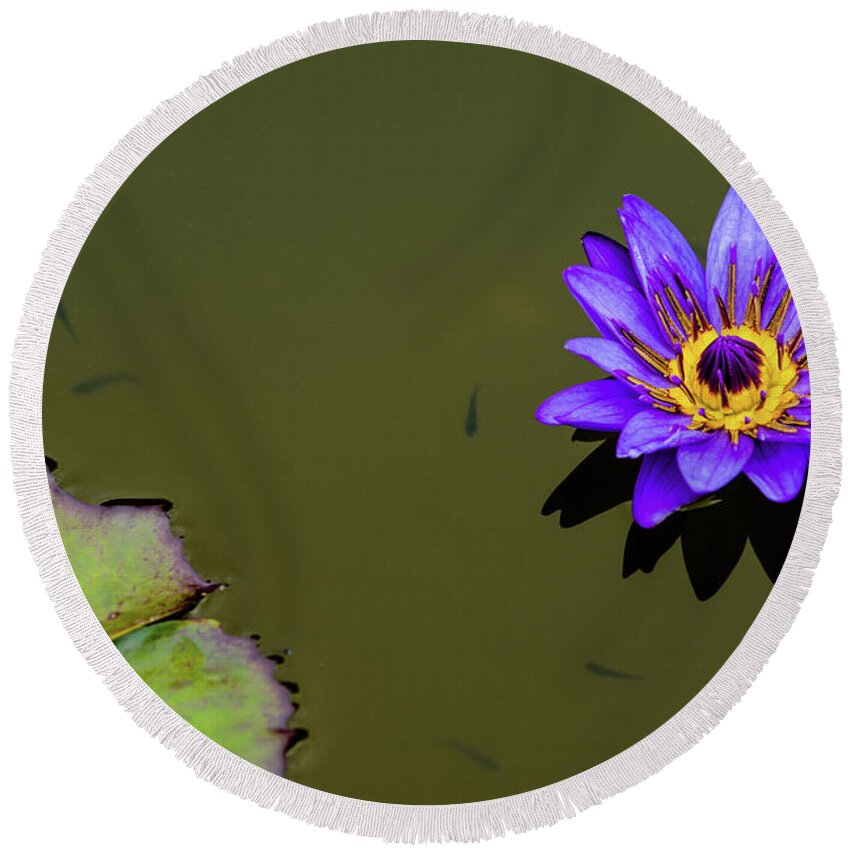 Bloom Round Beach Towel featuring the photograph Purple Lily with Tiny Fish by Dennis Dame
