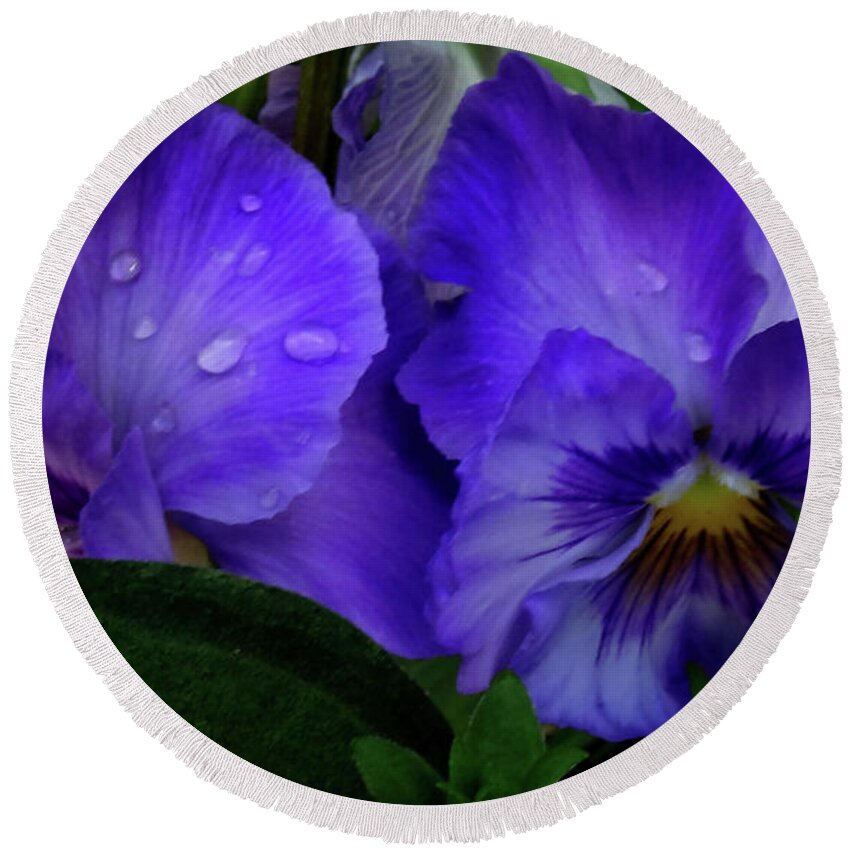 Floral Round Beach Towel featuring the photograph Purple Pansies by Mikki Cucuzzo