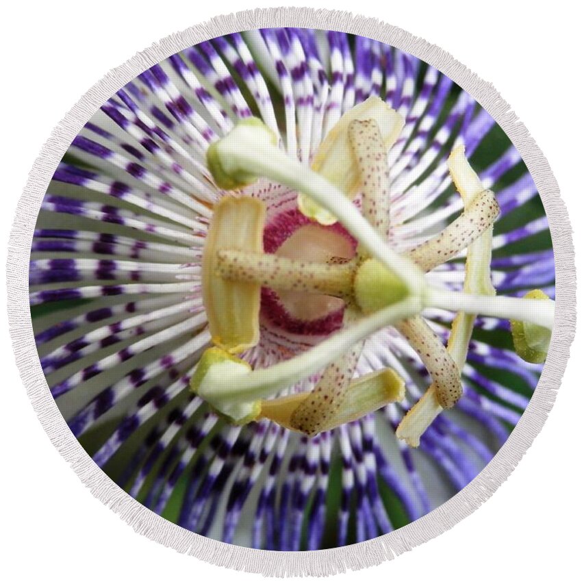 #3d Round Beach Towel featuring the photograph Purple Passion Flower by Belinda Lee