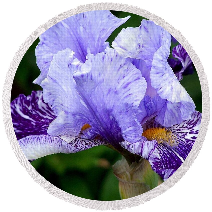 Flower Round Beach Towel featuring the photograph Purple Passion Photograph by Kimberly Walker