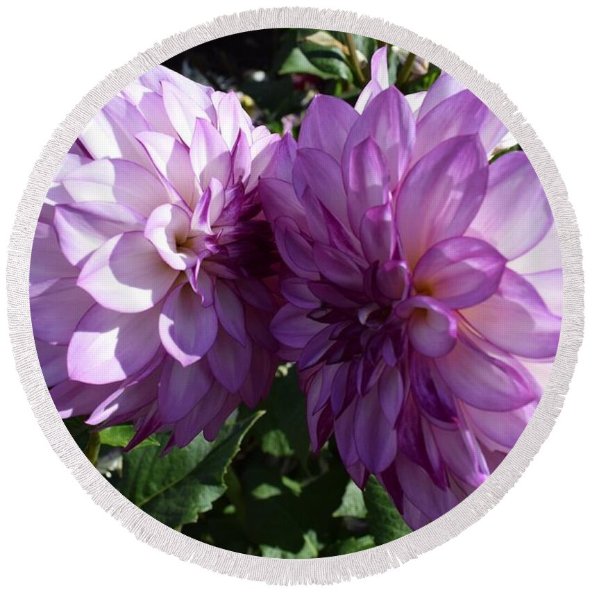 Purple Flower Round Beach Towel featuring the photograph Purple Prettiness by Gallery Of Hope 