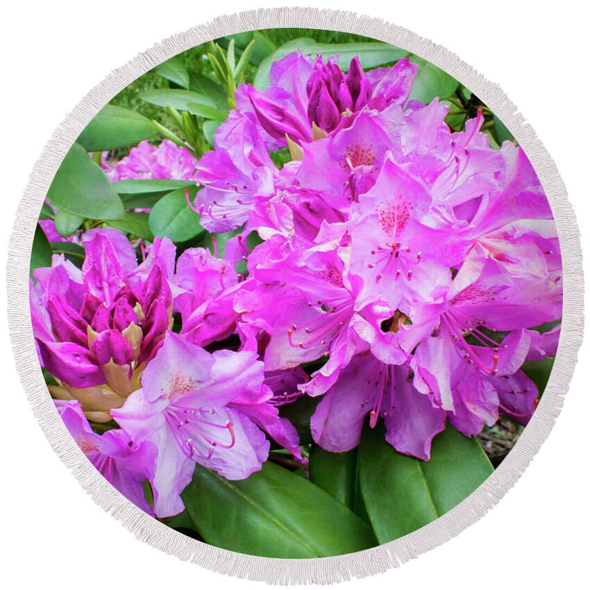 2d Round Beach Towel featuring the photograph Purple Rhododendron by Brian Wallace