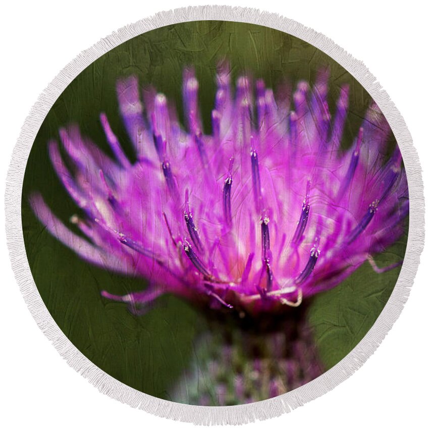 Purple Thistle Plant Print Round Beach Towel featuring the photograph Purple Thistle Plant Print by Gwen Gibson