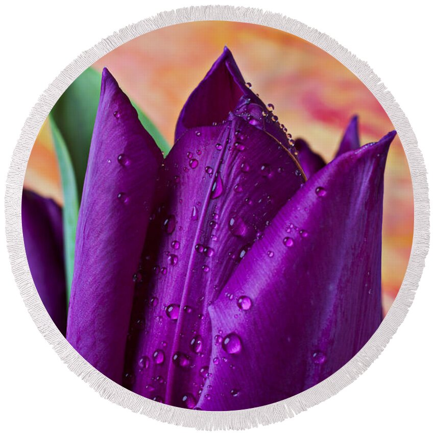 Purple Tulip Round Beach Towel featuring the photograph Purple Tulip by Garry Gay