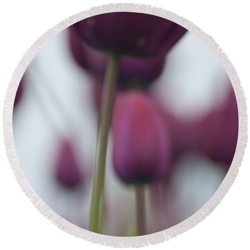 Tulips Round Beach Towel featuring the photograph Purple Tulips Abstract by Jani Freimann
