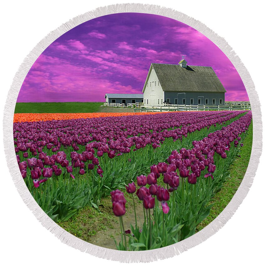 Flowers Round Beach Towel featuring the photograph Purple tulips with pink sky by Jeff Burgess