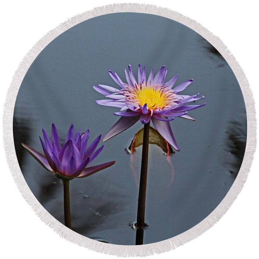 Purple Round Beach Towel featuring the photograph Purple Two-step by Michiale Schneider