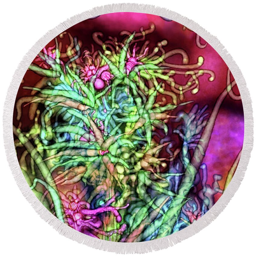 Botanical Round Beach Towel featuring the digital art Qualia's Tree by Russell Kightley