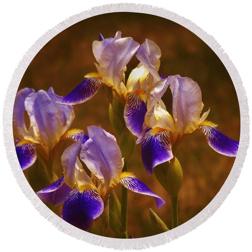 Flower Round Beach Towel featuring the photograph Quarto Iris by Barbara St Jean