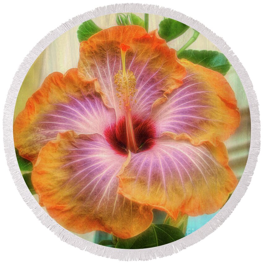 Hibiscus Round Beach Towel featuring the photograph Radiant Hibiscus by Sue Melvin