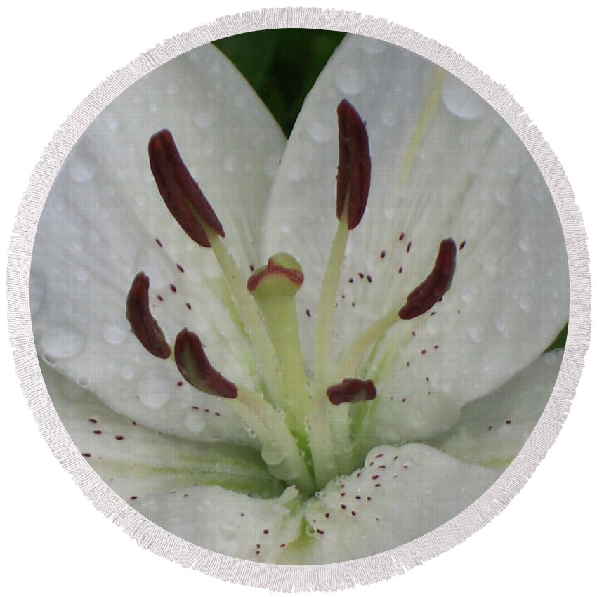 Flowers Round Beach Towel featuring the photograph Rain Drops on Lily by Cris Fulton