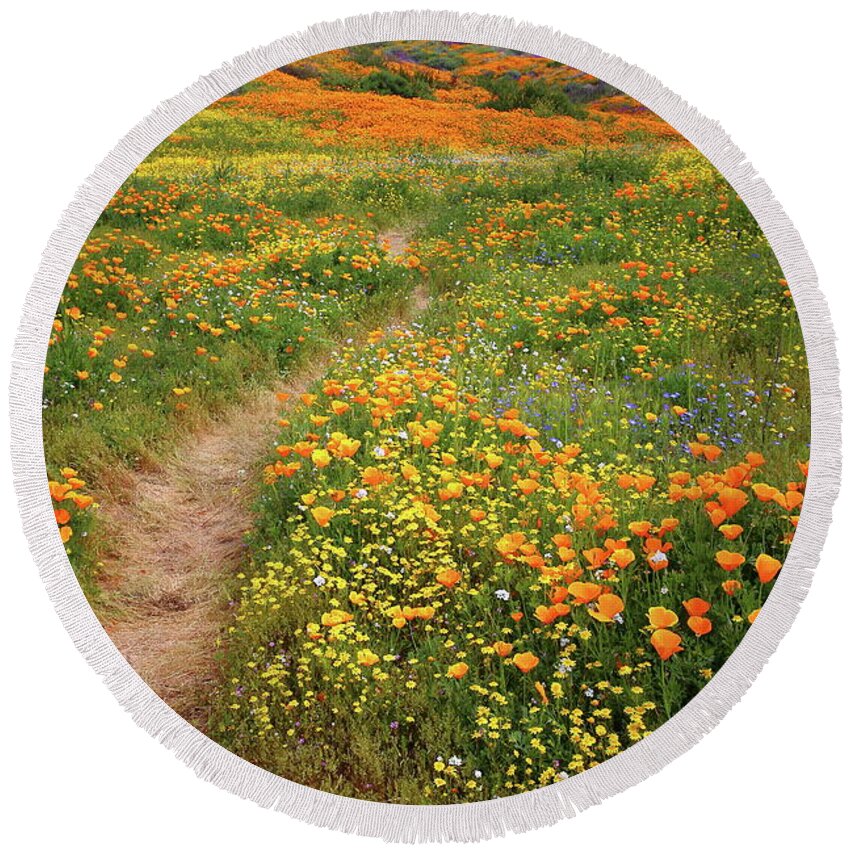 Wildflower Round Beach Towel featuring the photograph Rainbow of wildflowers bloom near Diamond Lake in California by Jetson Nguyen