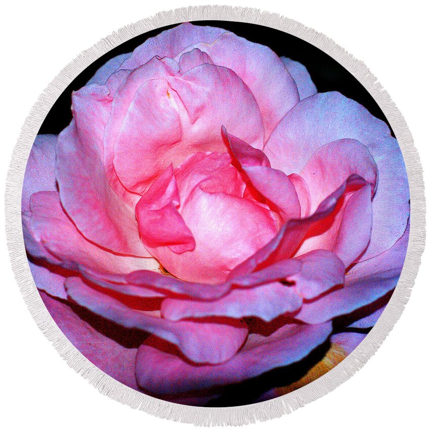 Clay Round Beach Towel featuring the photograph Rainbow Rose by Clayton Bruster