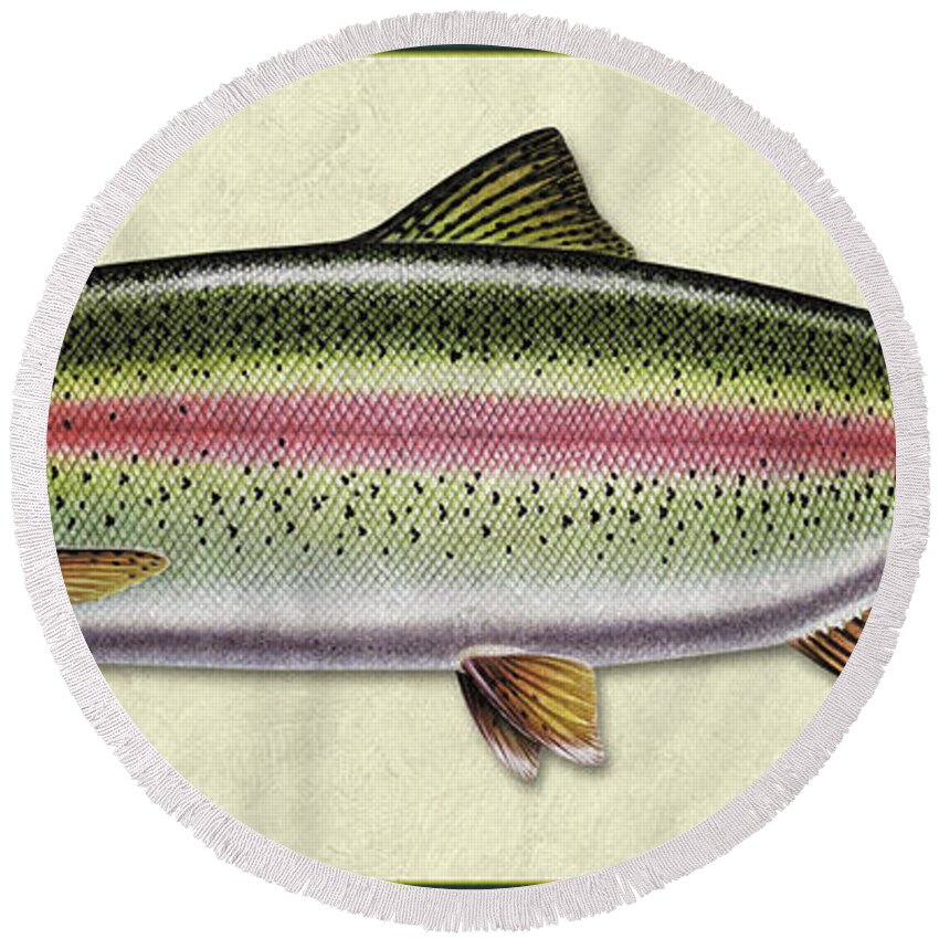 Jon Q Wright Fish Id Print Rainbow Trout Flyfishing Fly Freshwater Round Beach Towel featuring the painting Rainbow trout ID by Jon Q Wright
