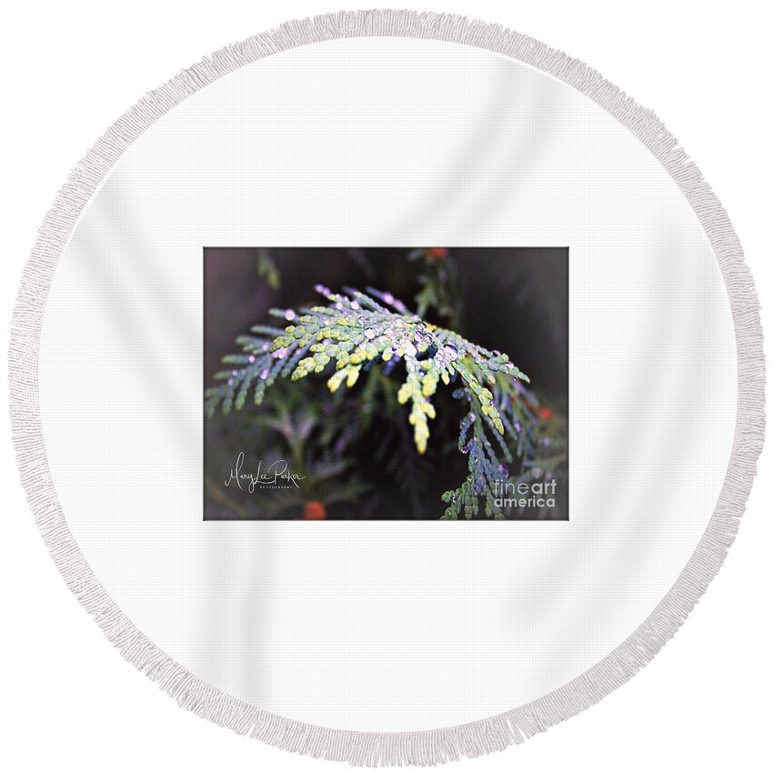 Photograph Round Beach Towel featuring the photograph Raindrops by MaryLee Parker