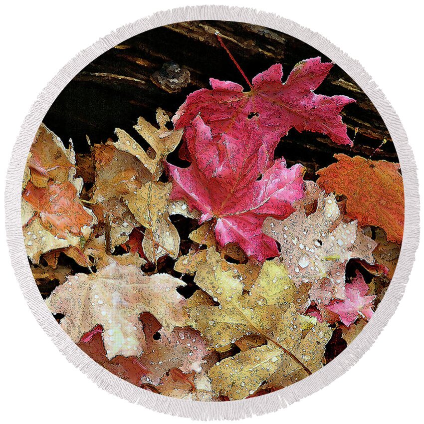 Leaves Round Beach Towel featuring the photograph Rainy Day Leaves by Matalyn Gardner