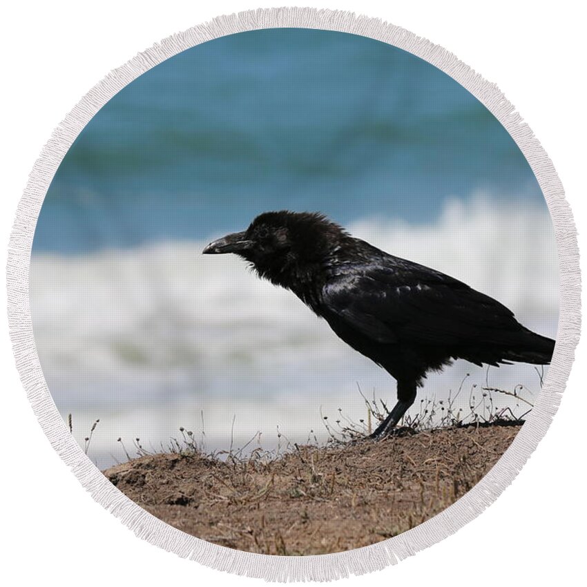 Wild Round Beach Towel featuring the photograph Raven at the Ocean by Christy Pooschke