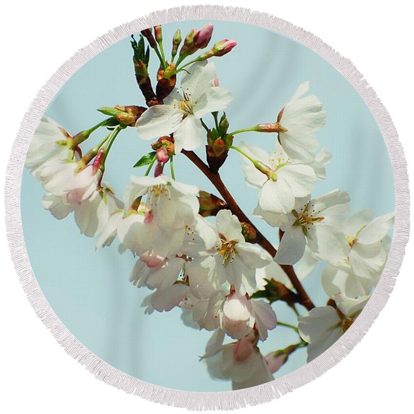 Cherry Blossom Trees Round Beach Towel featuring the photograph Reaching To New Heights by Angie Tirado