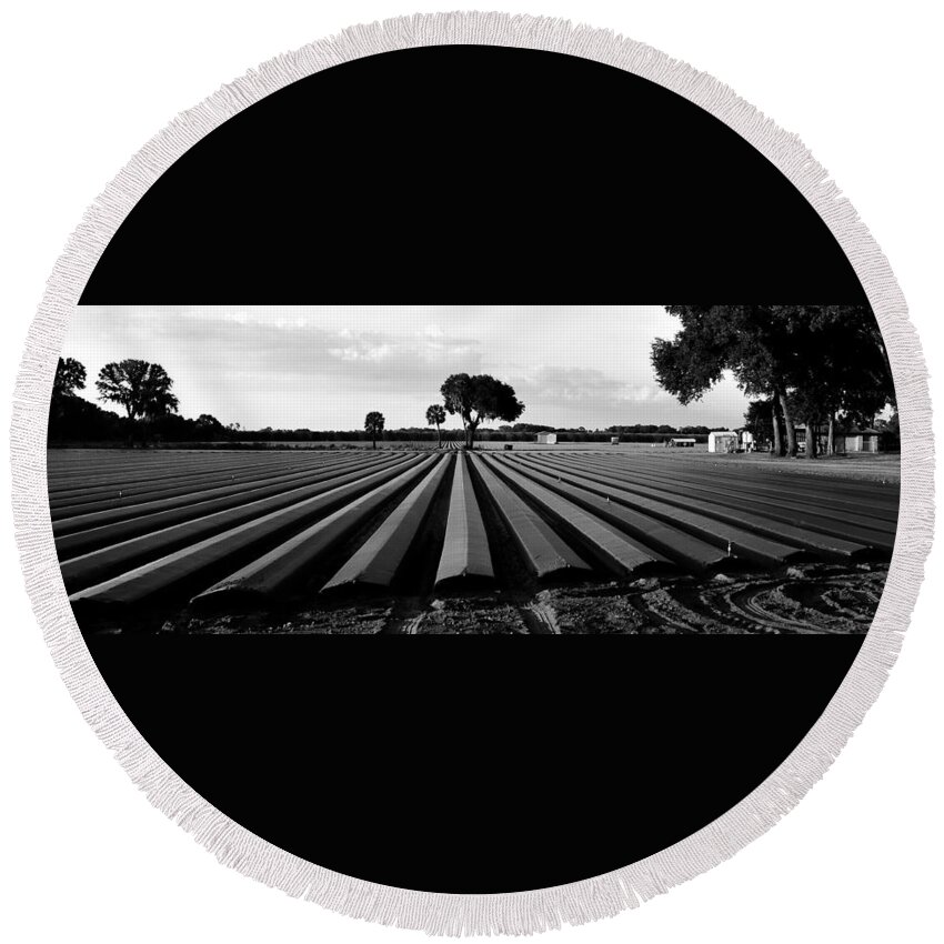 Farming Round Beach Towel featuring the photograph Ready for planting by David Lee Thompson