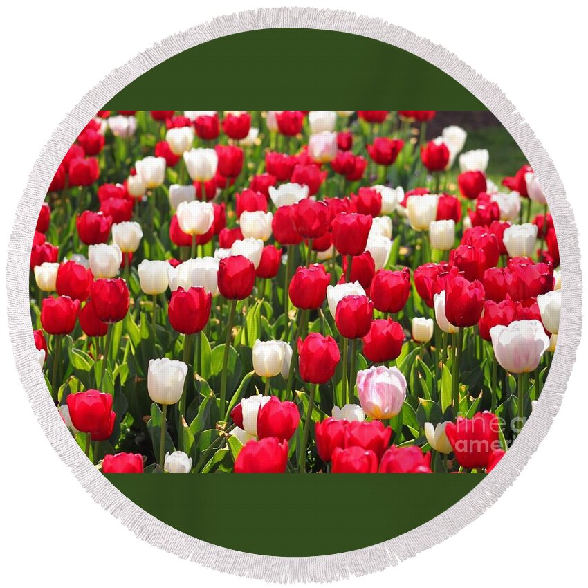 Tulips Round Beach Towel featuring the photograph Red and White Tulips by Bev Conover