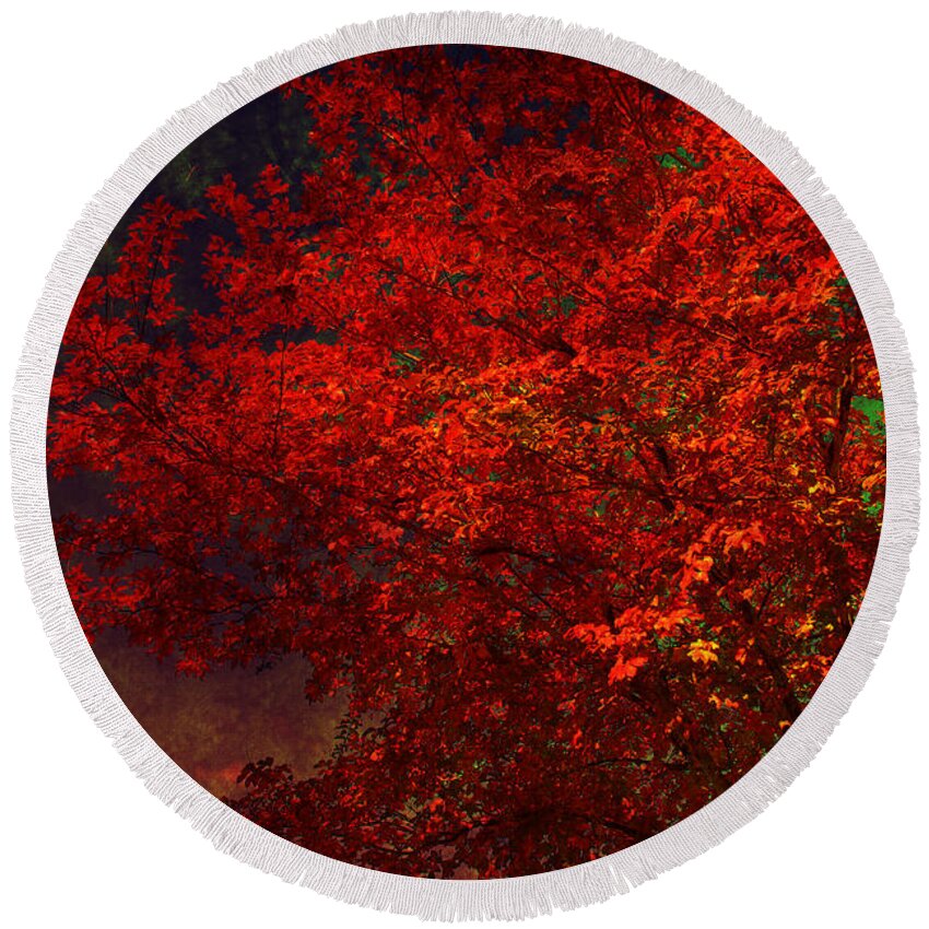 Autumn Round Beach Towel featuring the photograph Red autumn tree by Susanne Van Hulst