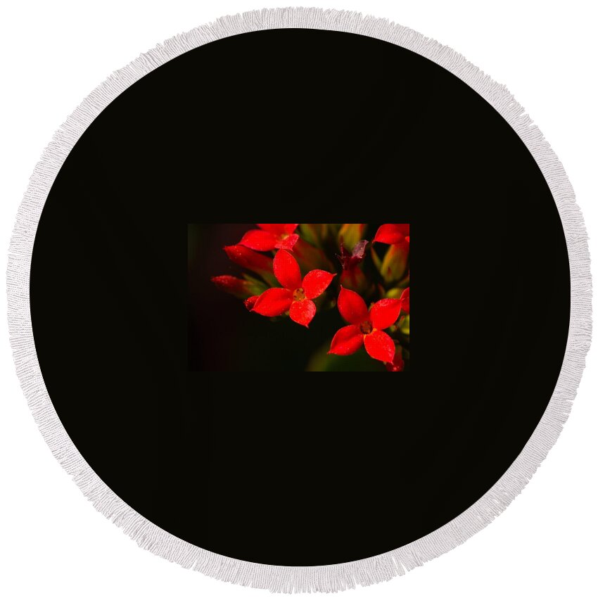 Red Round Beach Towel featuring the photograph Red blooms by James Smullins
