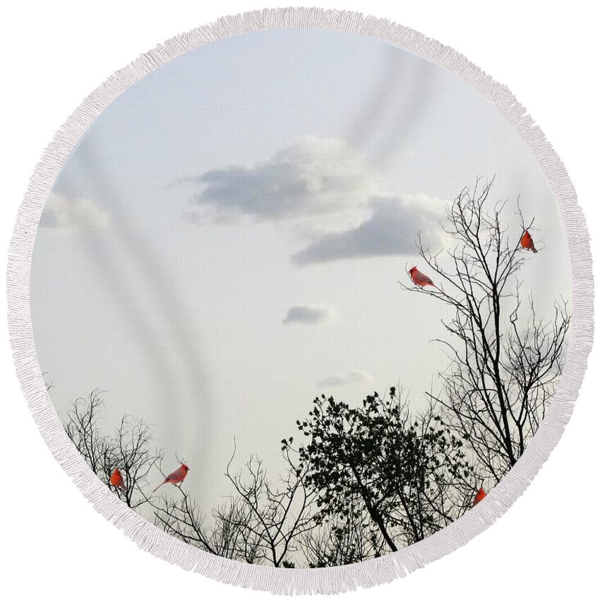 Red Cardinals Round Beach Towel featuring the photograph Red Cardinals by Marianna Mills