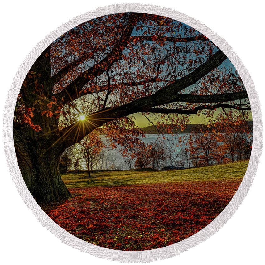 (rockefeller Preserve Round Beach Towel featuring the photograph Red Carpet by Jeffrey Friedkin