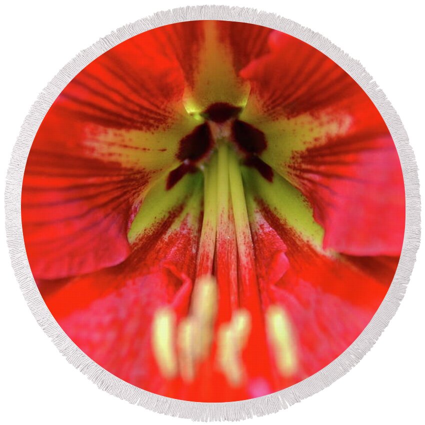 Red Daylily Lily Flowers Round Beach Towel featuring the photograph Red Daylily by Lehua Pekelo-Stearns