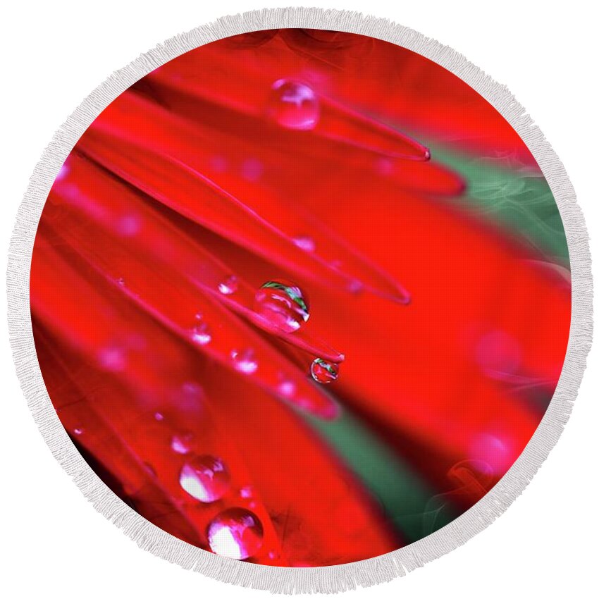 Flowers Round Beach Towel featuring the photograph Red droplets by Yumi Johnson